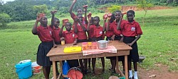 Fruit juice preparation